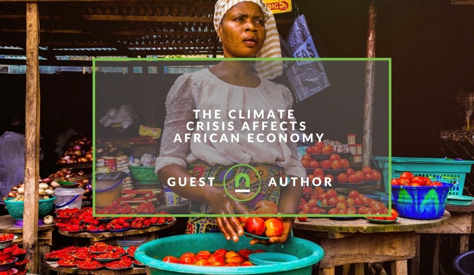 Climate crisis changes African economy