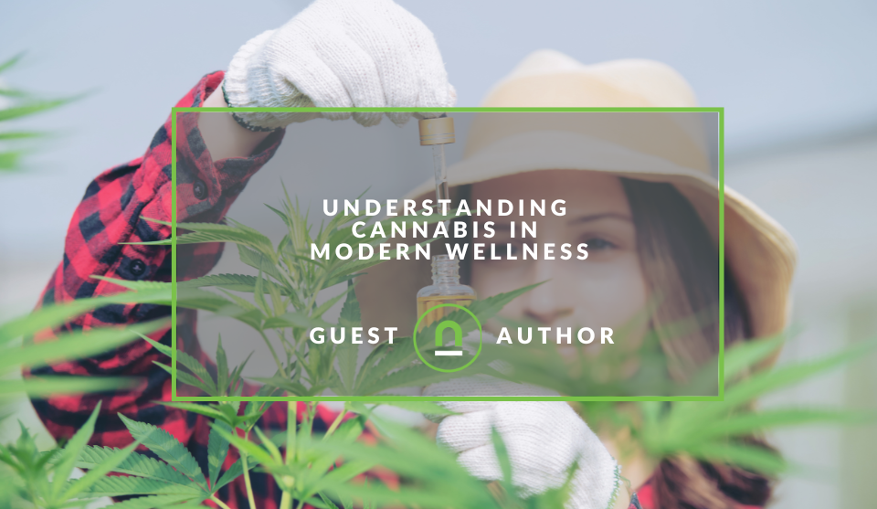 Cannabis wellness industry