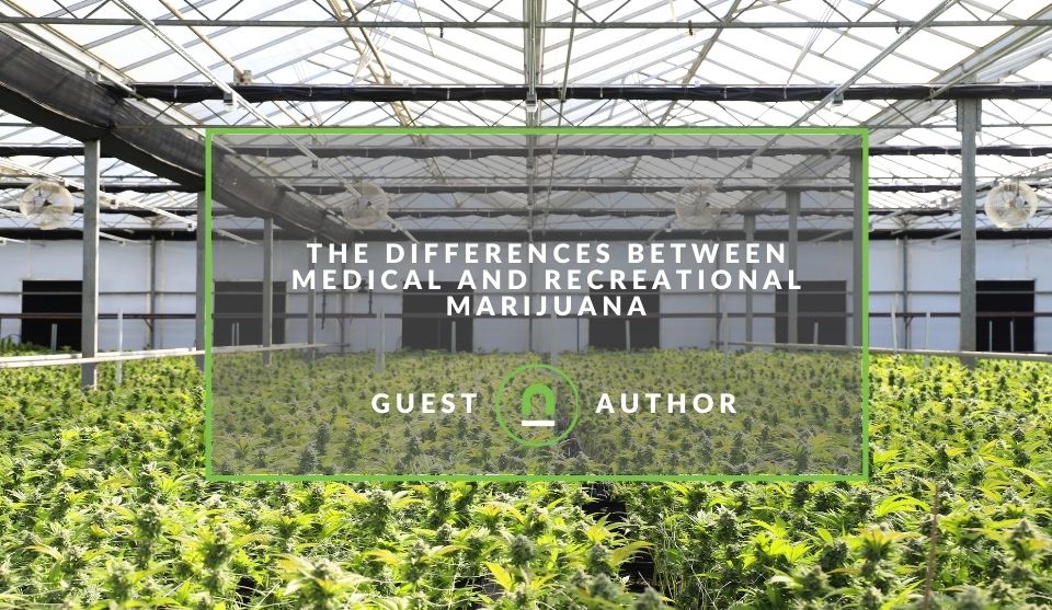How cannabis for medical use and recreational use differ