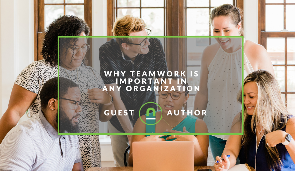 How teamwork affects an organisation 