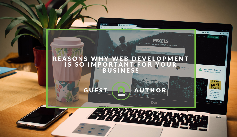 why-web-development-is-important-for-your-business-nichemarket