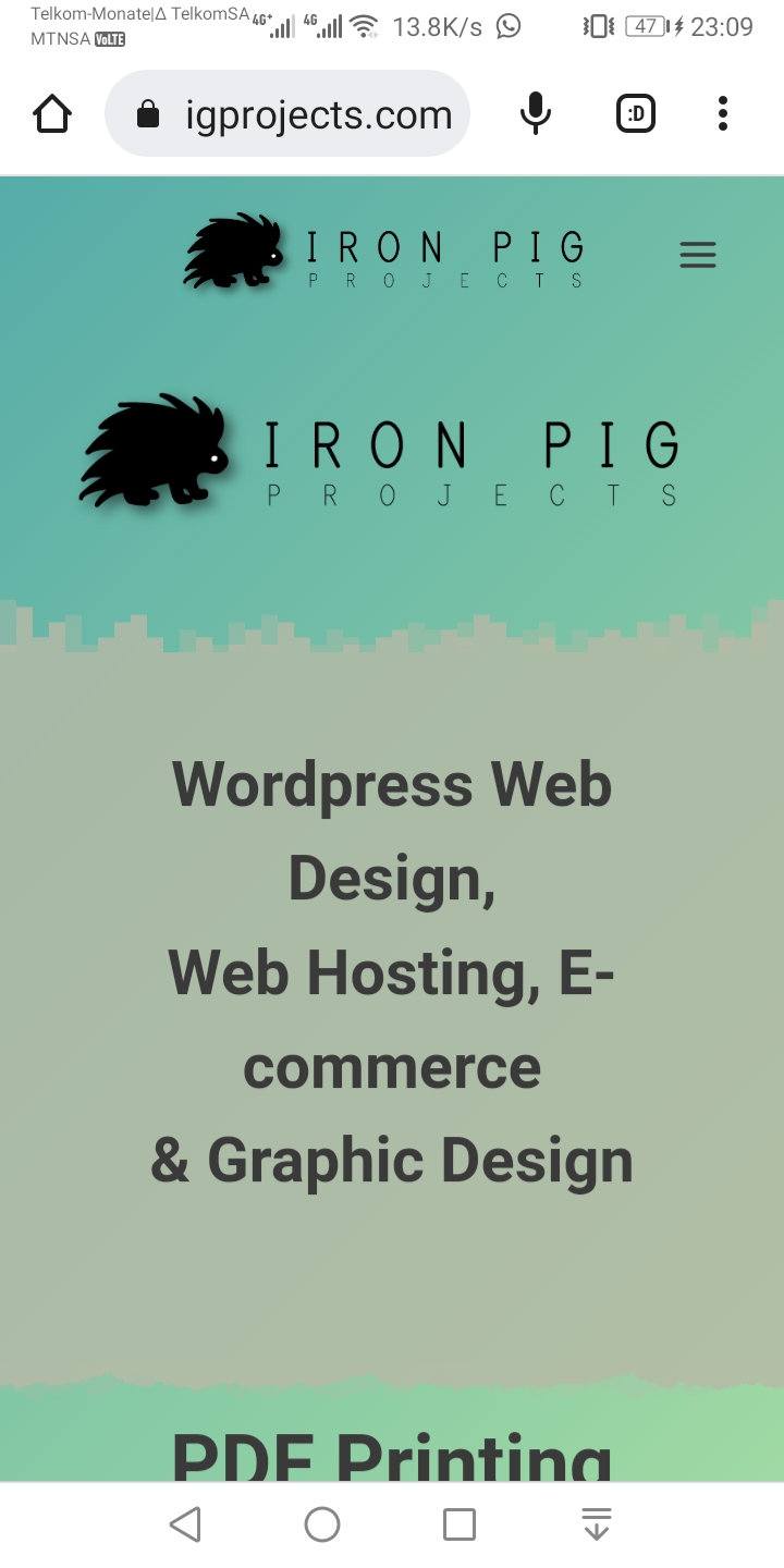 Website design, pdf printing, logo design, web hosting